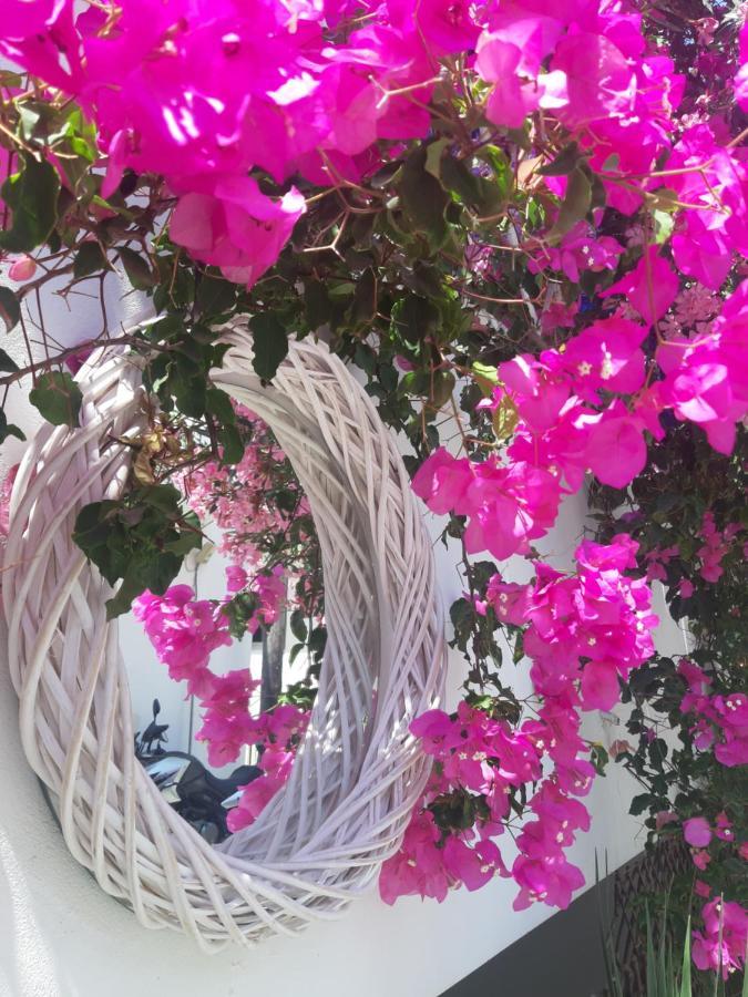 Doron Hotel Delfini Naxos City Экстерьер фото