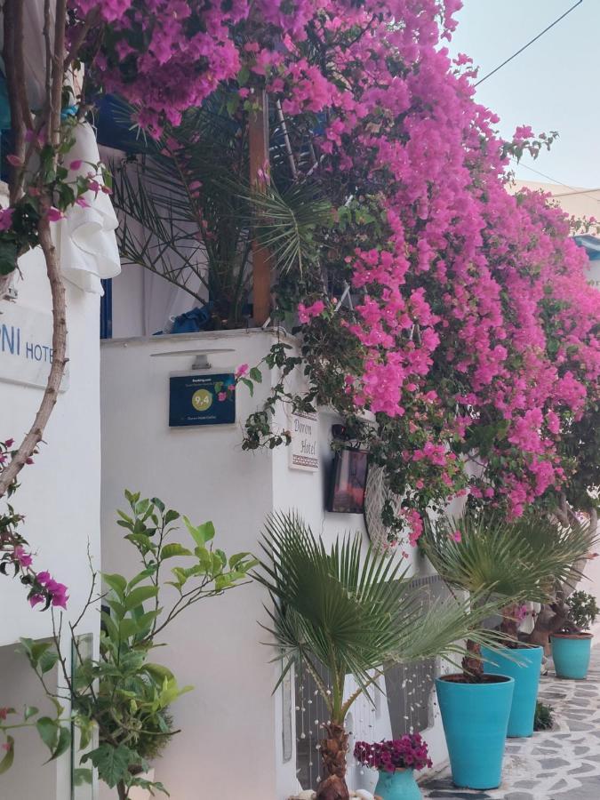 Doron Hotel Delfini Naxos City Экстерьер фото