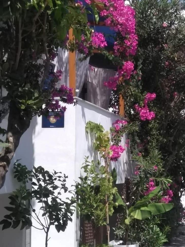 Doron Hotel Delfini Naxos City Экстерьер фото