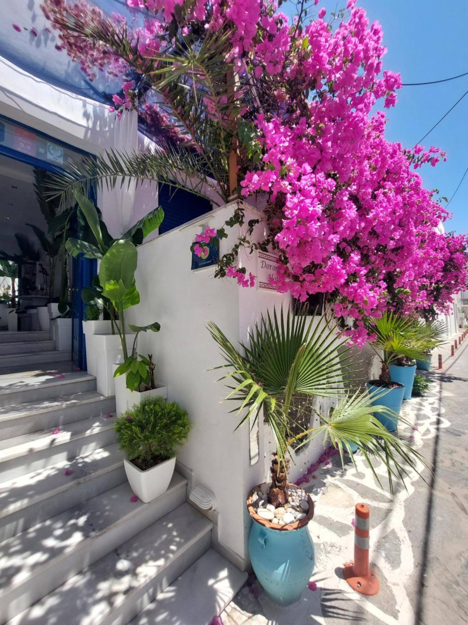 Doron Hotel Delfini Naxos City Экстерьер фото