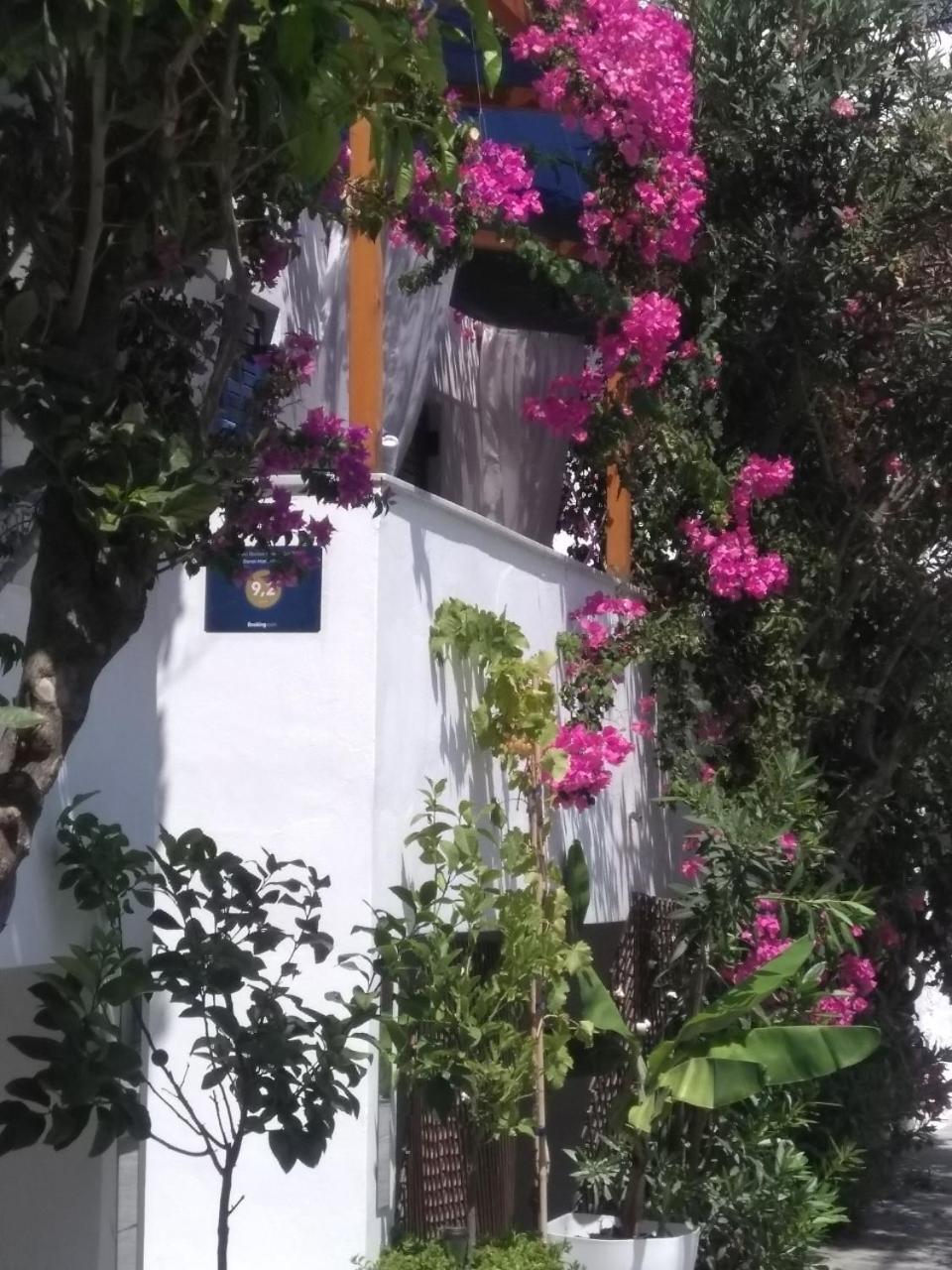 Doron Hotel Delfini Naxos City Экстерьер фото