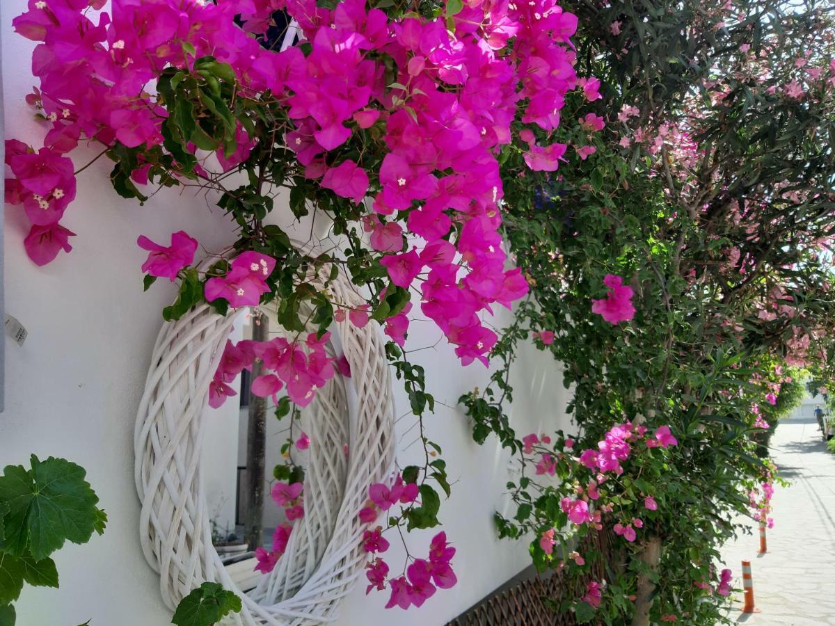 Doron Hotel Delfini Naxos City Экстерьер фото